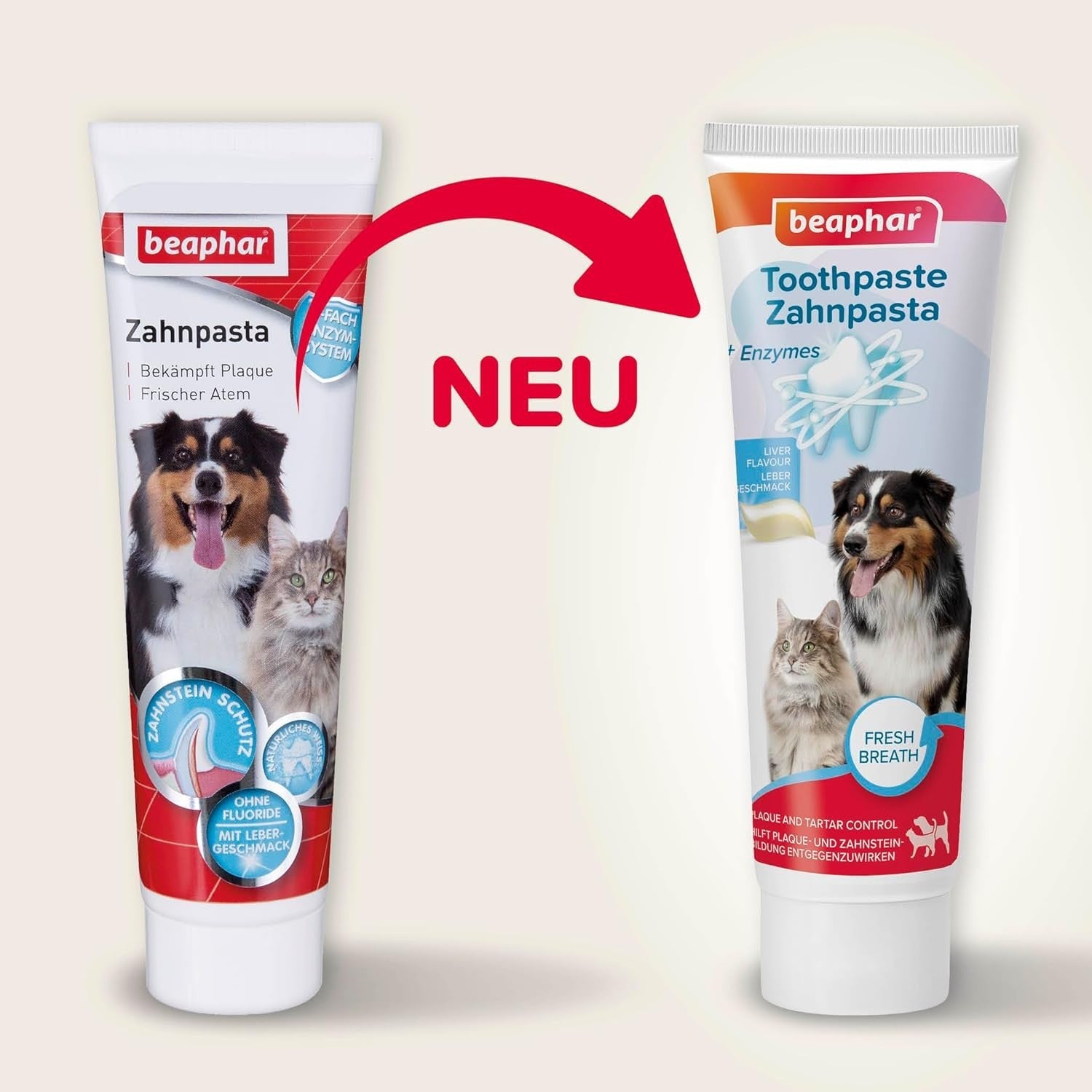 BEAPHAR - Zahnpasta Für Hunde Und Katzen - Schützt Vor Plaque Und Zahnstein - Mi