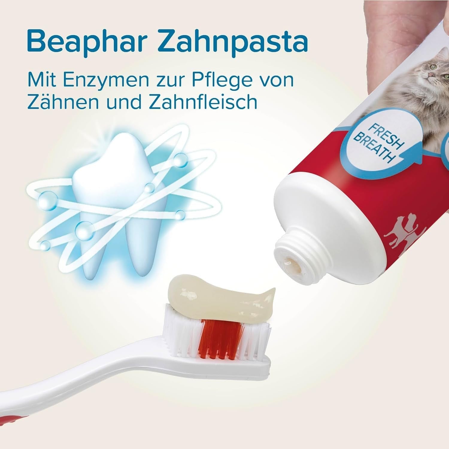 BEAPHAR - Zahnpasta Für Hunde Und Katzen - Schützt Vor Plaque Und Zahnstein - Mi